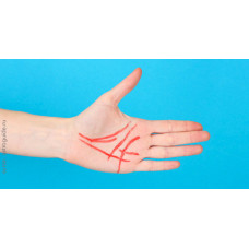 Sortitul este inscris in palma ta 