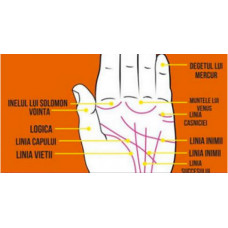 Citirea in palma - ghid practic rapid Citirea in palma - ghid practic rapid