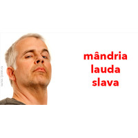 Terapeutica bolilor spirituale - Chenodoxia Terapeutica bolilor spirituale - Chenodoxia