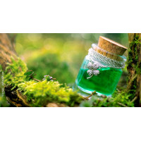 Detoxifierea si autovindecarea ta Detoxifierea si autovindecarea ta