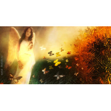 Cum sa comunici cu ingerul tau pazitor Cum sa comunici cu ingerul tau pazitor