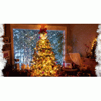 Traditia si semnificatia bradului de Craciun