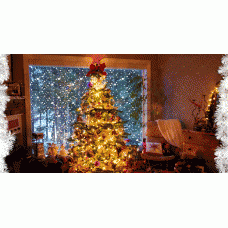 Traditia si semnificatia bradului de Craciun