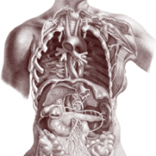 Anatomie patologică (2)