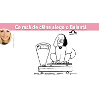 Ce rasa de caine alege o Balanta Ce rasa de caine alege o Balanta