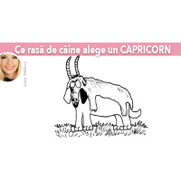 Ce rasa de caine alege un CAPRICORN Ce rasa de caine alege un CAPRICORN