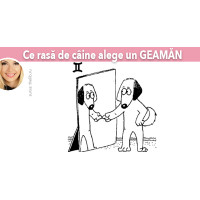 Ce rasa de caine alege un GEAMAN Ce rasa de caine alege un GEAMAN