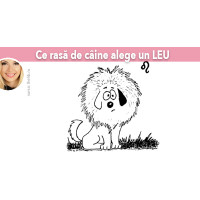 Ce rasa de caine alege un Leu Ce rasa de caine alege un Leu