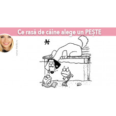 Ce rasa de caine alege un PESTE