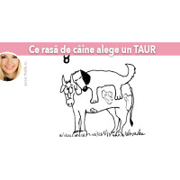 Ce rasa de caine alege un TAUR Ce rasa de caine alege un TAUR