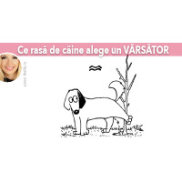 Ce rasa de caine alege un VARSATOR Ce rasa de caine alege un VARSATOR