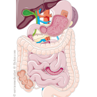 Colici abdominali la copii