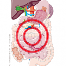 Indigestiile si crampele stomacale