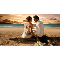 Light Blue Light Blue