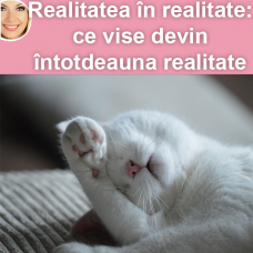 Realitatea în realitate: ce vise devin întotdeauna realitate și de ce Realitatea în realitate: ce vise devin întotdeauna realitate și de ce