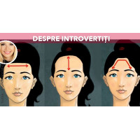 10 mituri despre introvertiți 10 mituri despre introvertiți
