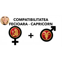 Compatibilitatea Fecioara - Capricorn în dragoste si casatorie Compatibilitatea Fecioara - Capricorn în dragoste si casatorie