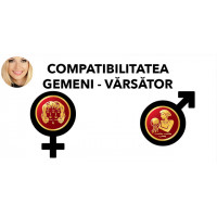Compatibilitatea Gemeni - Varsator  în dragoste si casatorie Compatibilitatea Gemeni - Varsator  în dragoste si casatorie