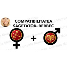 Compatibilitatea Sagetator  - Berbec  în dragoste si casatorie