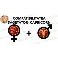 Compatibilitatea Sagetator  - Capricorn  în dragoste si casatorie
