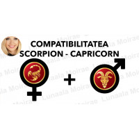 Compatibilitatea Scorpion  - Capricorn  in dragoste si casatorie Compatibilitatea Scorpion  - Capricorn  in dragoste si casatorie