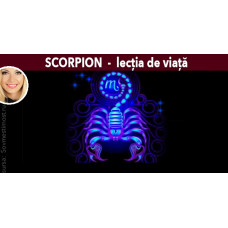Scorpion - lecția de viață
